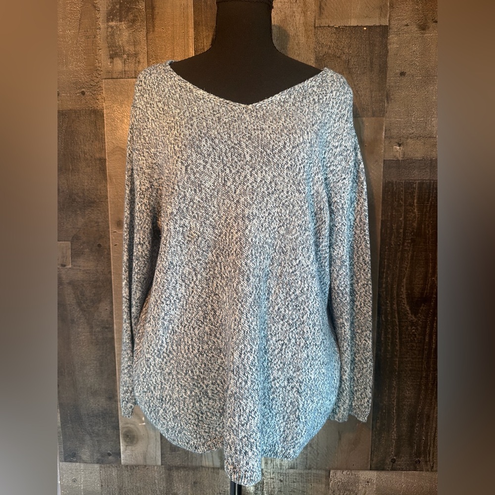 Collection L Women's V-Neck Sweater in Blue and White